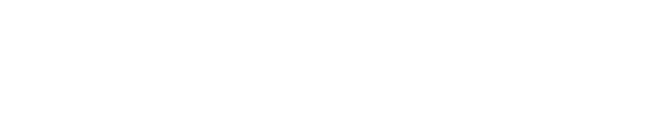 Lake Bike Logo